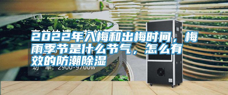 2022年入梅和出梅時間，梅雨季節(jié)是什么節(jié)氣，怎么有效的防潮除濕