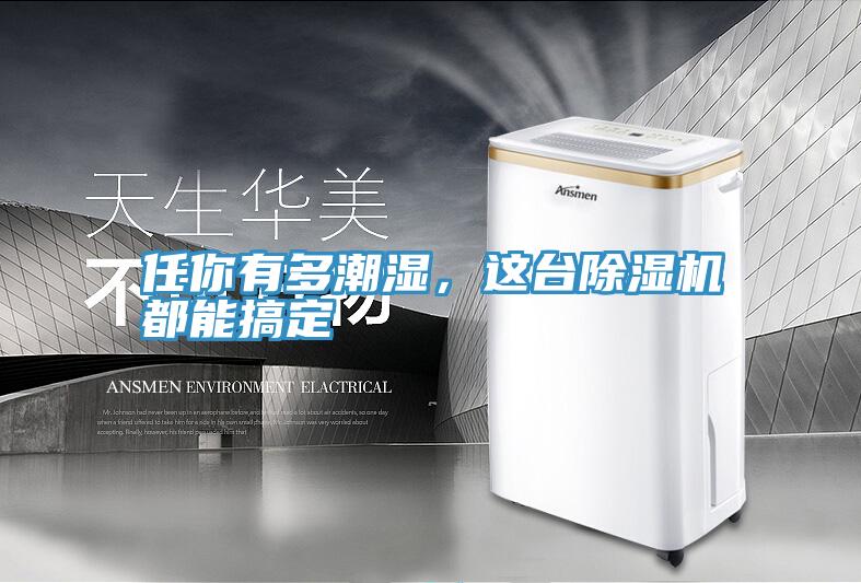 任你有多潮濕，這臺(tái)除濕機(jī)都能搞定