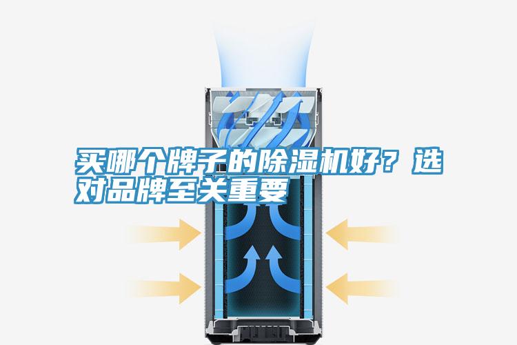 買哪個(gè)牌子的除濕機(jī)好？選對(duì)品牌至關(guān)重要
