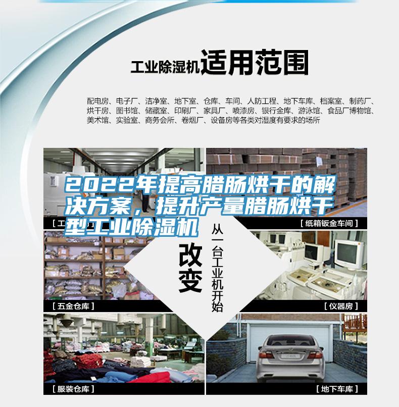 2022年提高臘腸烘干的解決方案，提升產(chǎn)量臘腸烘干型工業(yè)除濕機(jī)