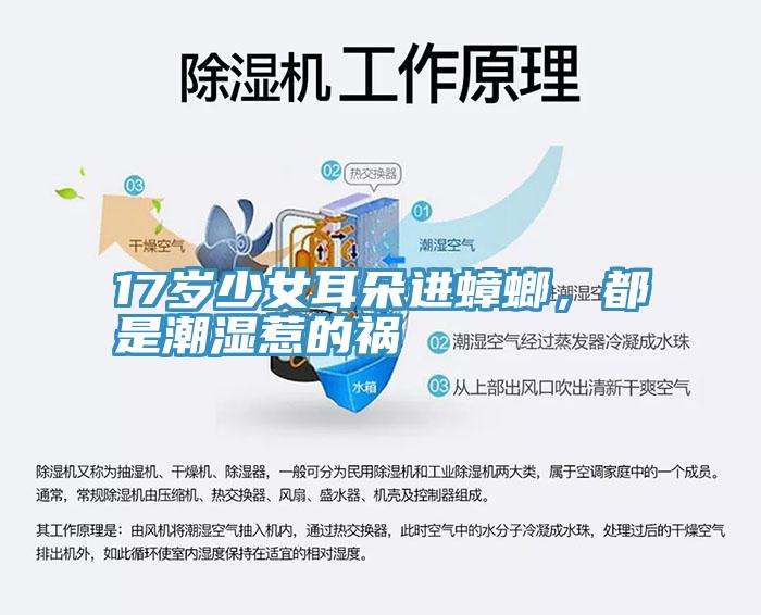 17歲少女耳朵進(jìn)蟑螂，都是潮濕惹的禍