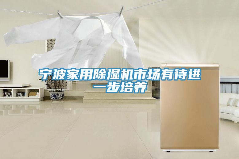 寧波家用除濕機(jī)市場(chǎng)有待進(jìn)一步培養(yǎng)