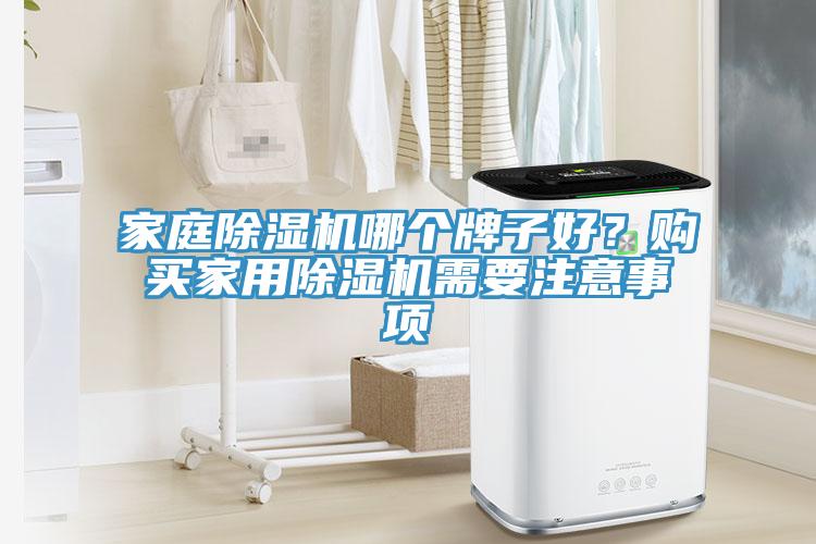 家庭除濕機哪個牌子好？購買家用除濕機需要注意事項