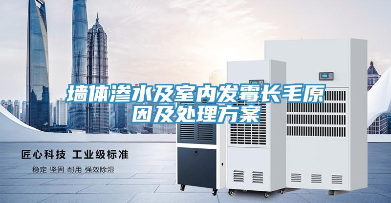 墻體滲水及室內(nèi)發(fā)霉長(zhǎng)毛原因及處理方案