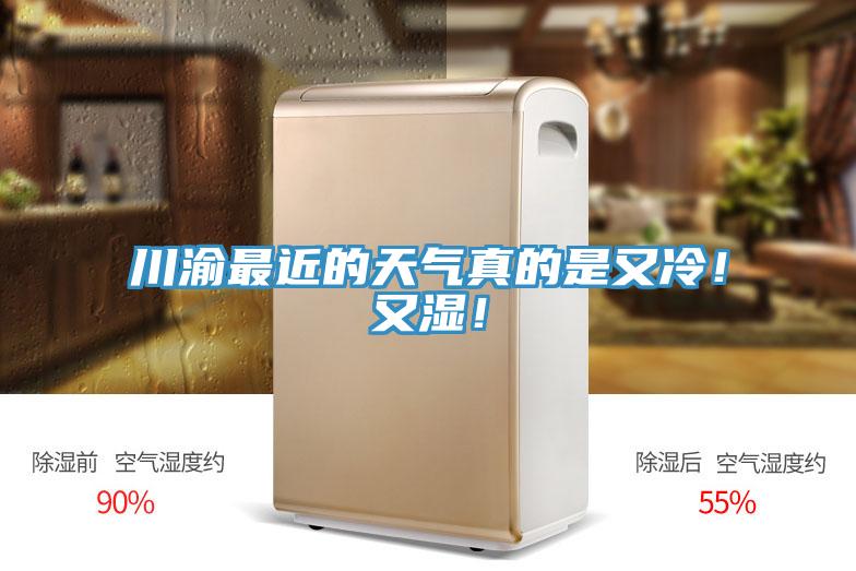 川渝最近的天氣真的是又冷！又濕！