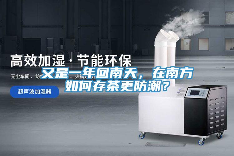 又是一年回南天，在南方如何存茶更防潮？