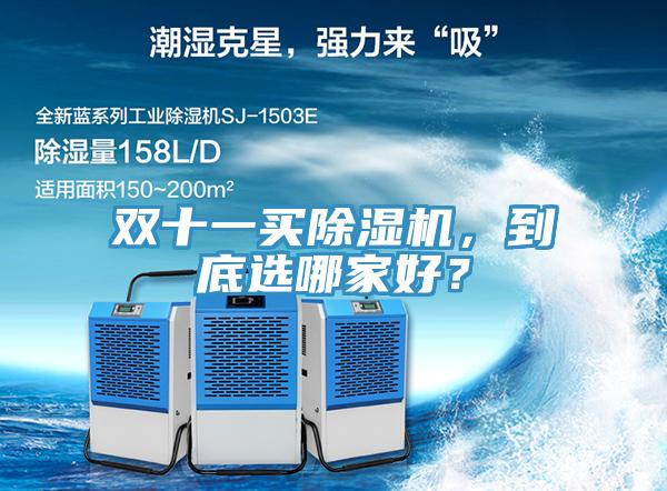 雙十一買除濕機(jī)，到底選哪家好？