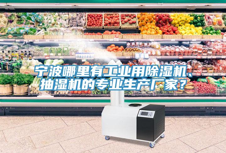 寧波哪里有工業(yè)用除濕機(jī)、抽濕機(jī)的專業(yè)生產(chǎn)廠家？