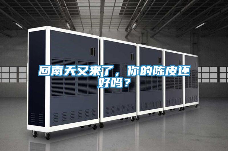 回南天又來了，你的陳皮還好嗎？