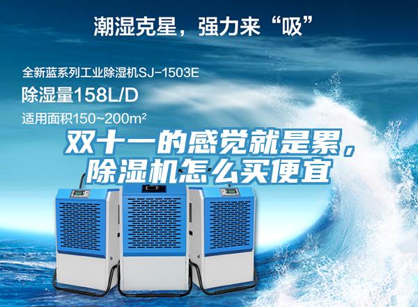 雙十一的感覺就是累，除濕機(jī)怎么買便宜
