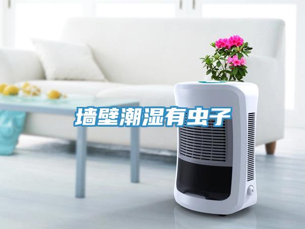 墻壁潮濕有蟲(chóng)子
