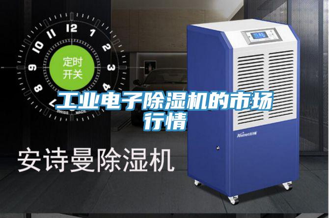 工業(yè)電子除濕機(jī)的市場行情