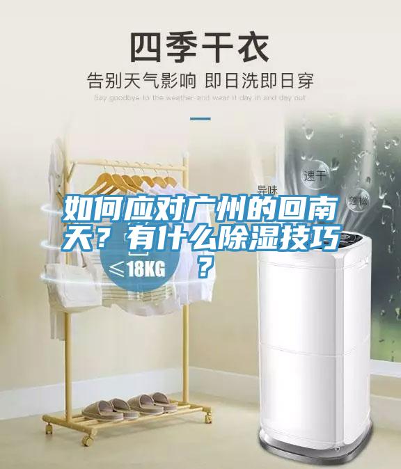 如何應(yīng)對(duì)廣州的回南天？有什么除濕技巧？
