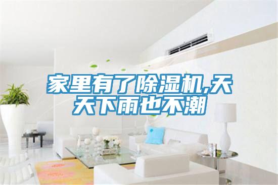 家里有了除濕機(jī),天天下雨也不潮