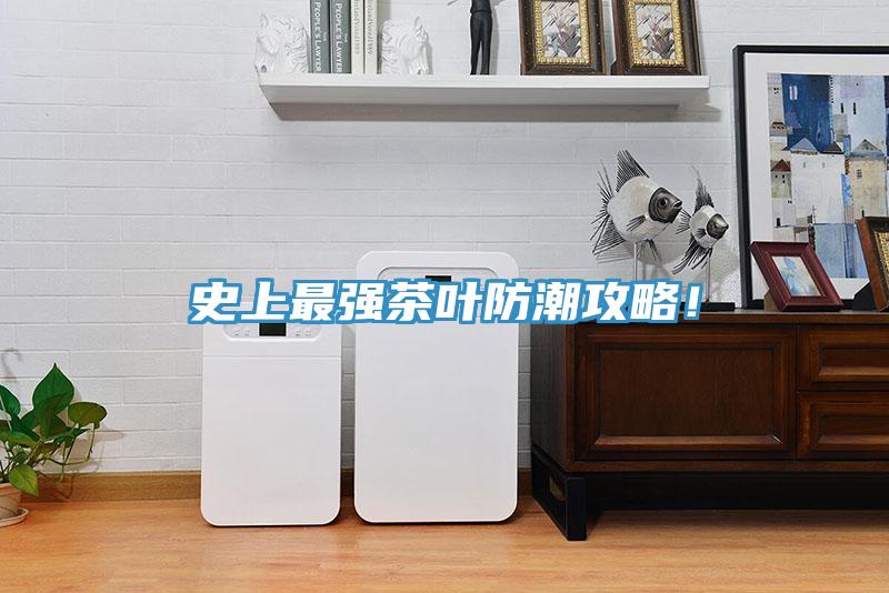 史上最強茶葉防潮攻略！