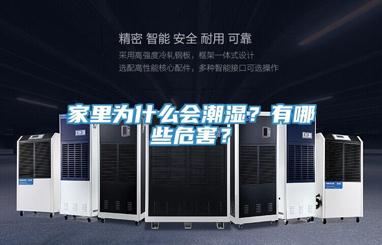 家里為什么會潮濕？有哪些危害？