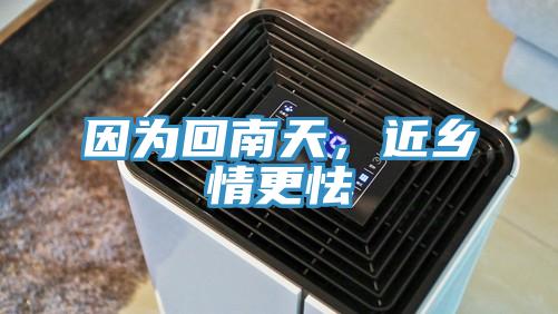 因?yàn)榛啬咸?，近鄉(xiāng)情更怯