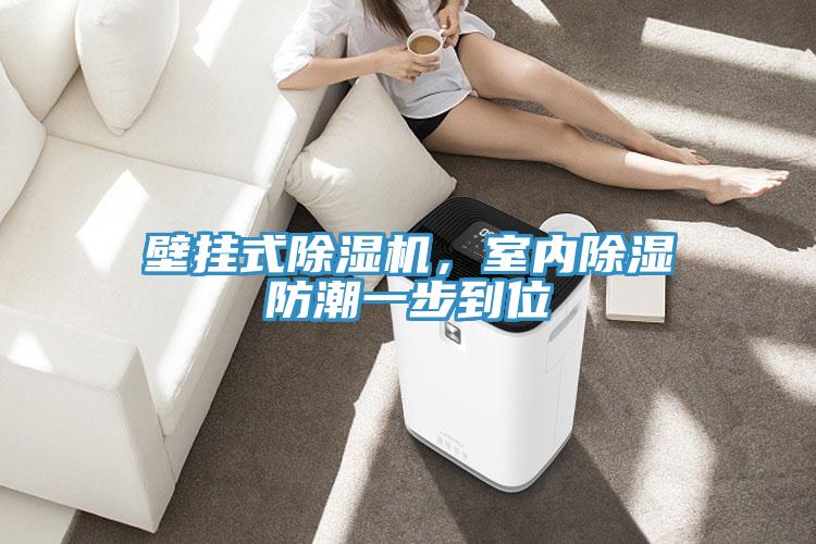 壁掛式除濕機(jī)，室內(nèi)除濕防潮一步到位