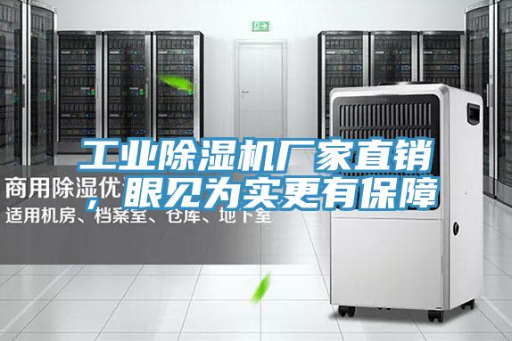 工業(yè)除濕機(jī)廠家直銷，眼見(jiàn)為實(shí)更有保障