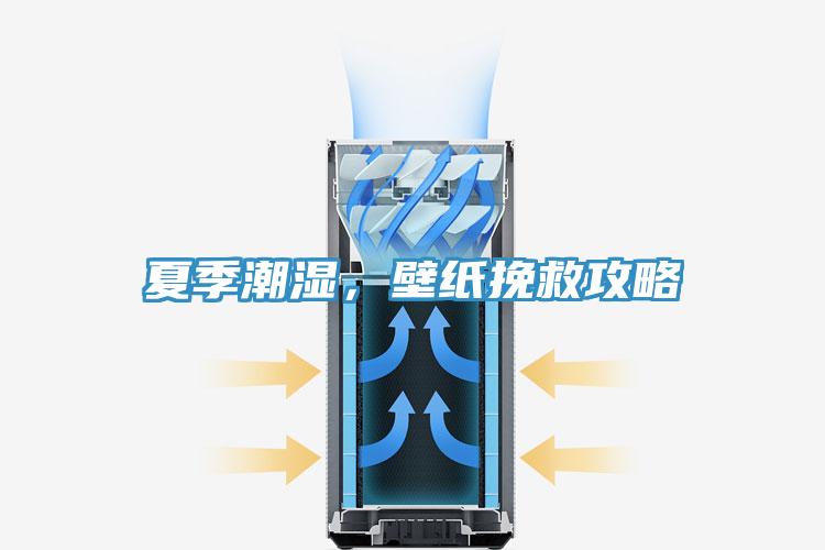 夏季潮濕，壁紙挽救攻略