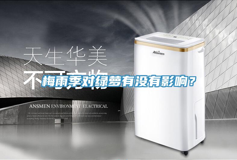 梅雨季對綠蘿有沒有影響？