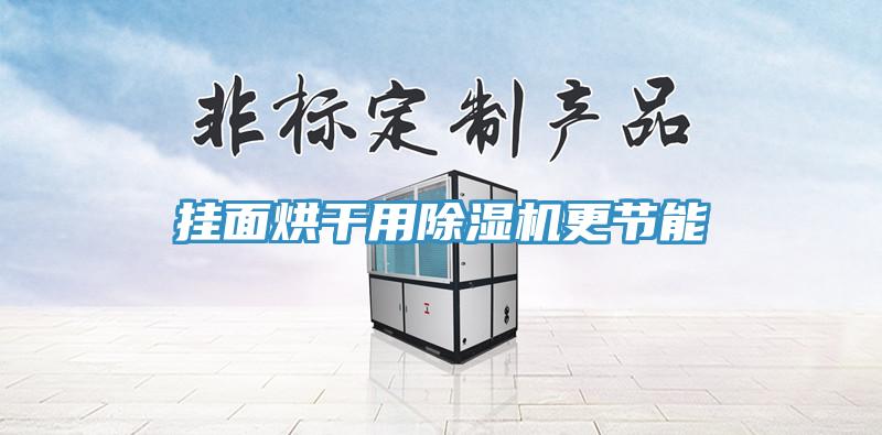 掛面烘干用除濕機更節(jié)能