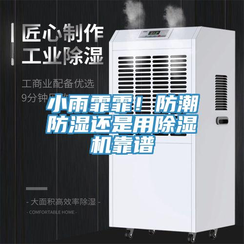小雨霏霏！防潮防濕還是用除濕機(jī)靠譜