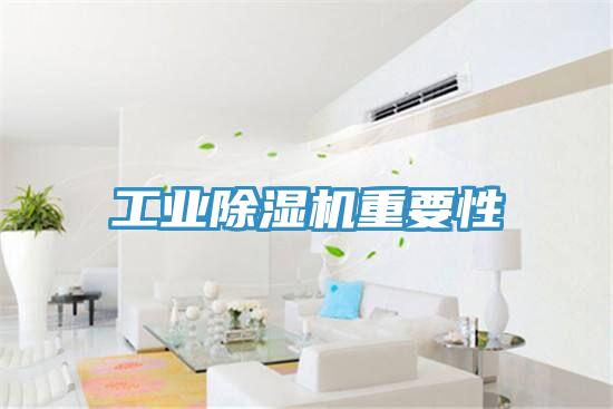工業(yè)除濕機重要性
