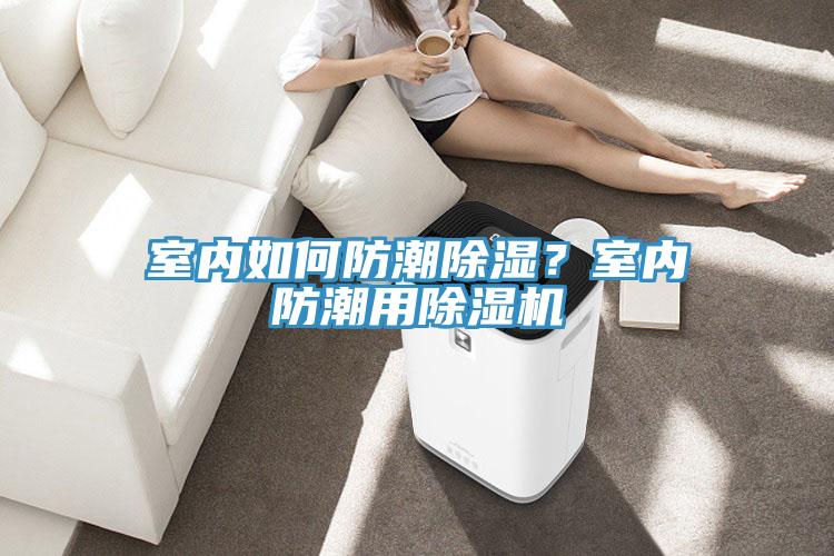 室內如何防潮除濕？室內防潮用除濕機