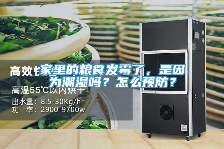 家里的糧食發(fā)霉了，是因為潮濕嗎？怎么預(yù)防？