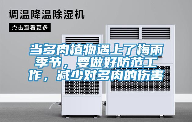 當(dāng)多肉植物遇上了梅雨季節(jié)，要做好防范工作，減少對(duì)多肉的傷害