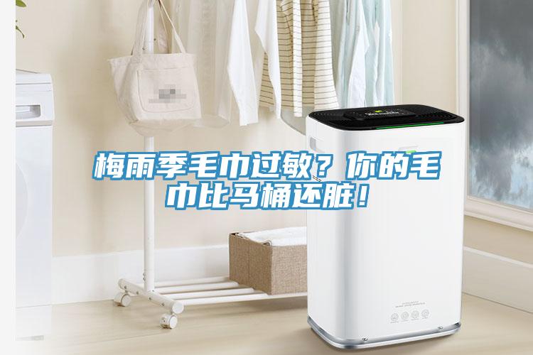 梅雨季毛巾過敏？你的毛巾比馬桶還臟！
