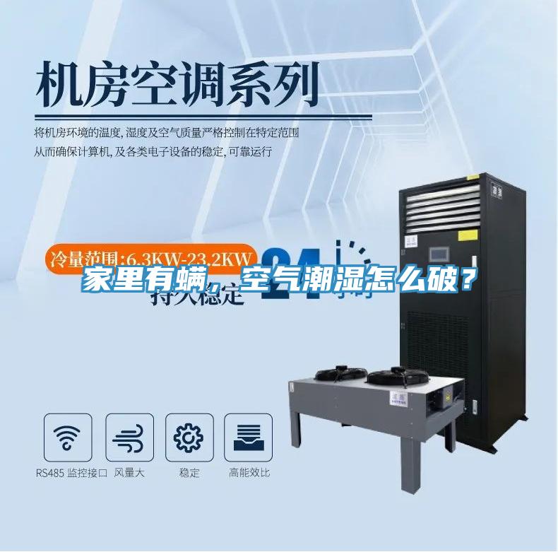家里有螨，空氣潮濕怎么破？