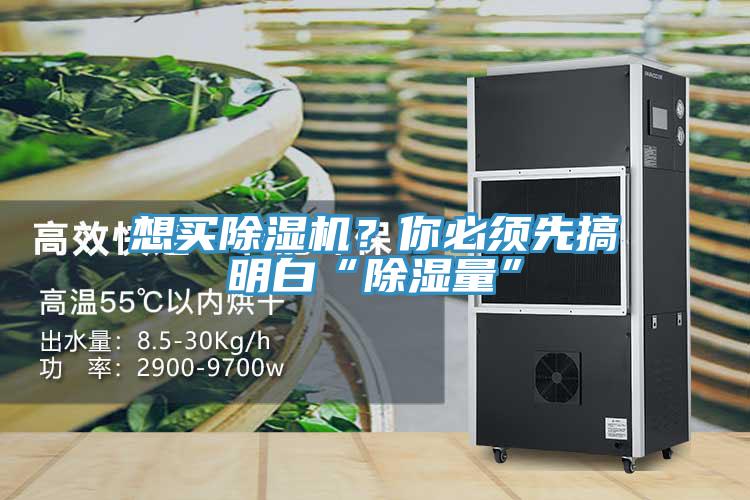 想買除濕機？你必須先搞明白“除濕量”