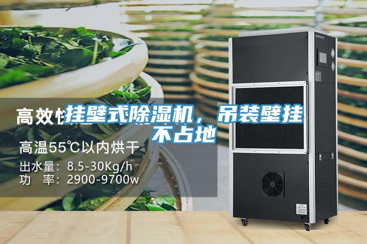 掛壁式除濕機，吊裝壁掛不占地