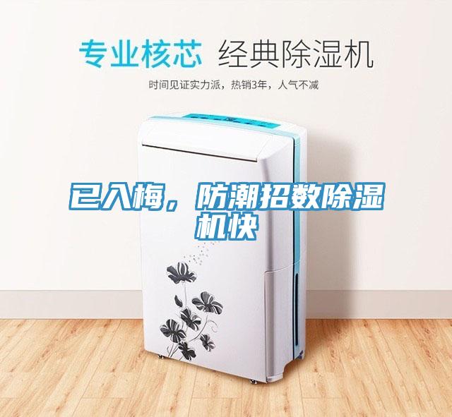 已入梅，防潮招數(shù)除濕機快
