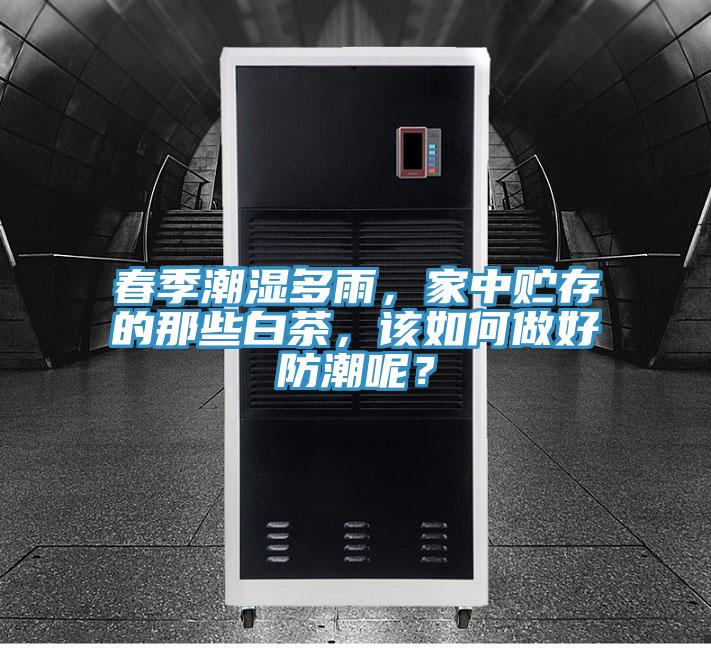 春季潮濕多雨，家中貯存的那些白茶，該如何做好防潮呢？