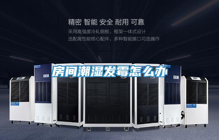 房間潮濕發(fā)霉怎么辦