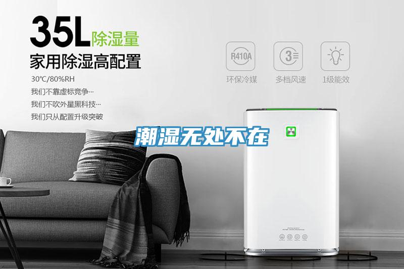 潮濕無處不在