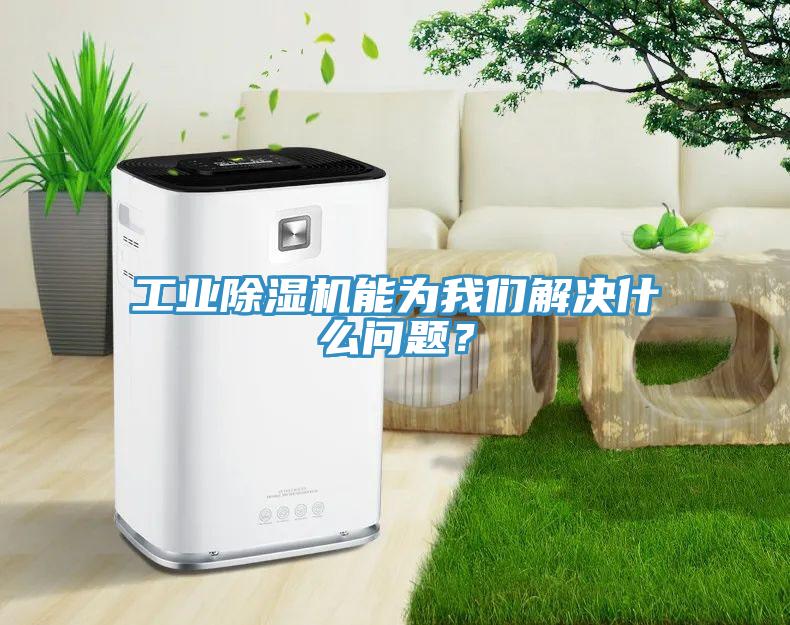 工業(yè)除濕機能為我們解決什么問題？