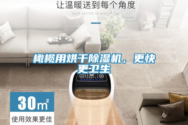 橄欖用烘干除濕機(jī)，更快更衛(wèi)生