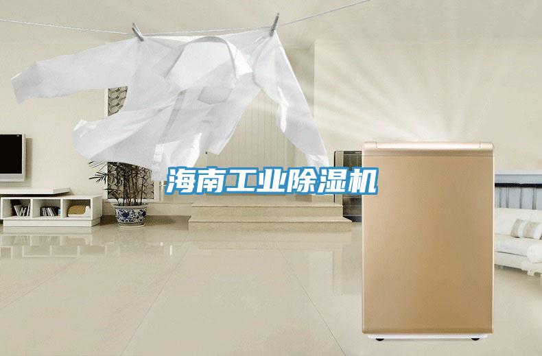 海南工業(yè)除濕機(jī)