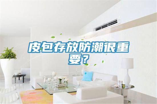 皮包存放防潮很重要？