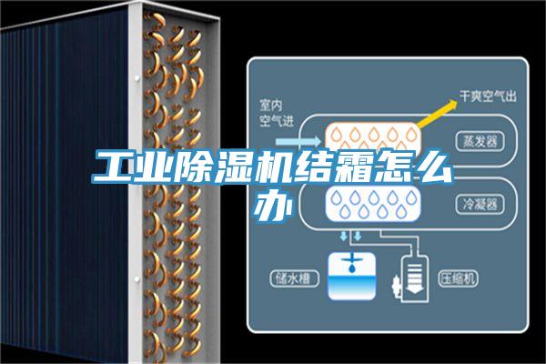 工業(yè)除濕機(jī)結(jié)霜怎么辦