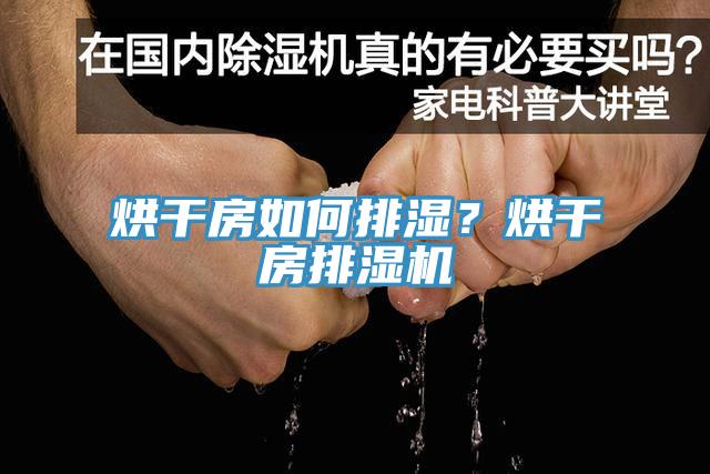 烘干房如何排濕？烘干房排濕機(jī)