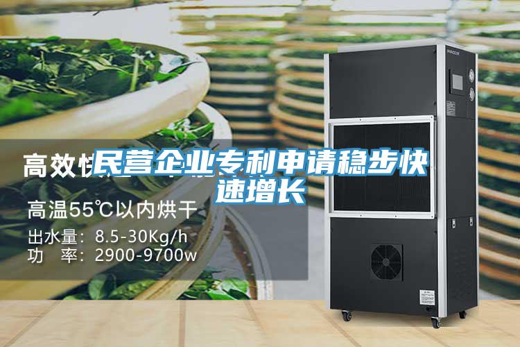 民營企業(yè)專利申請穩(wěn)步快速增長