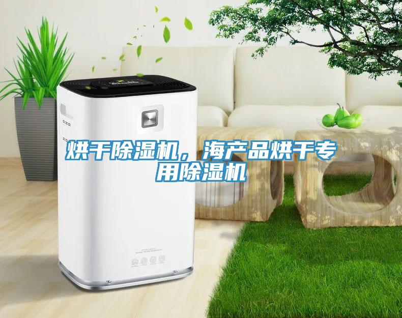 烘干除濕機，海產(chǎn)品烘干專用除濕機