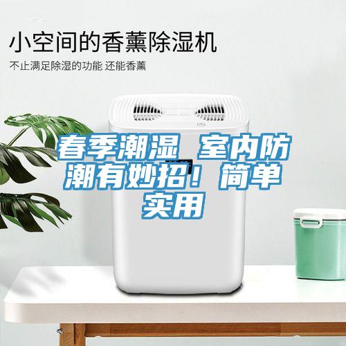 春季潮濕 室內(nèi)防潮有妙招！簡(jiǎn)單實(shí)用
