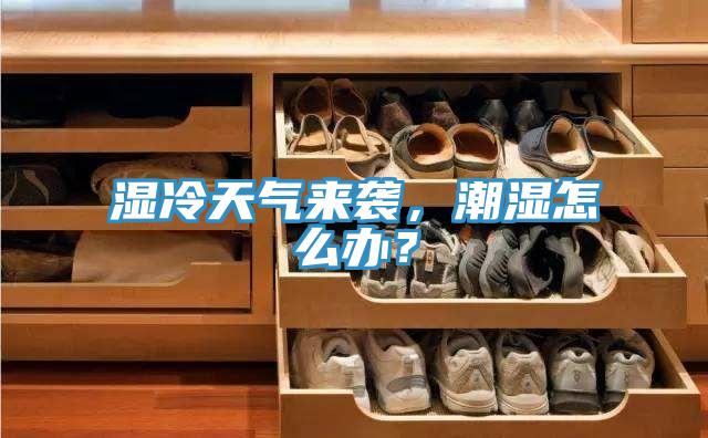 濕冷天氣來(lái)襲，潮濕怎么辦？