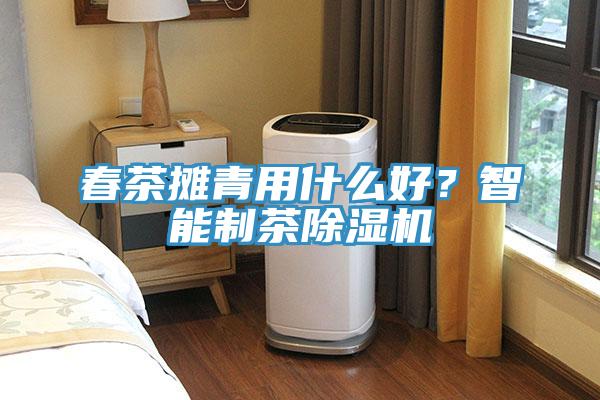 春茶攤青用什么好？智能制茶除濕機(jī)